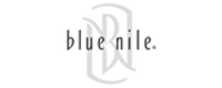 bluenine_logo